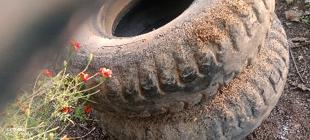 ટોલી ના ટાયર વેચવાના છે