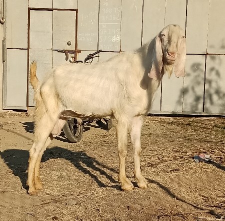 थंबनेल 3