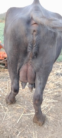 थंबनेल 2