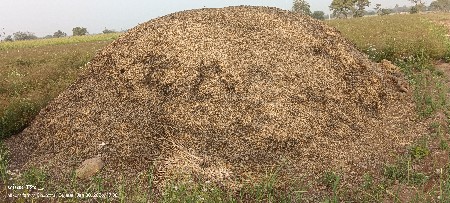 મગફળી નો કોરો ભુકો