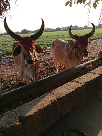 थंबनेल 3