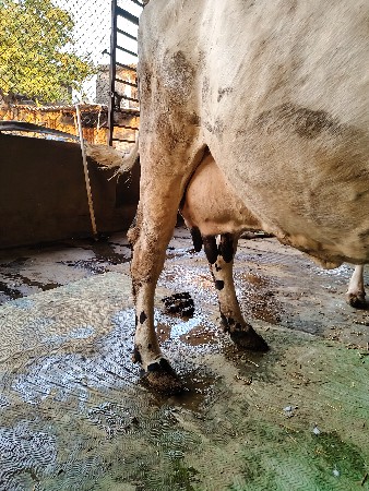 थंबनेल 3