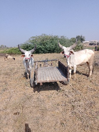 थंबनेल 2