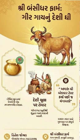ગીર ગાય ઘી