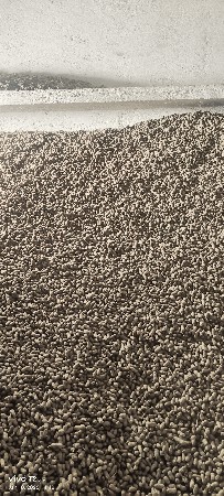 માંડવી દેવાની છે 41