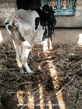 थंबनेल 3