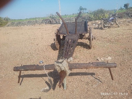 ધાનાભાઈ..ગઢ‌વી