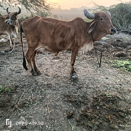 थंबनेल 2