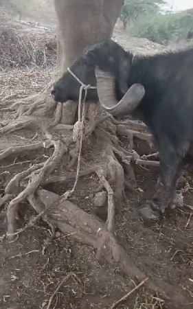 ટોટલ જવાબદારીથી આપવાની છે