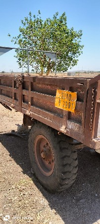 ટોલી વેચવાની છે