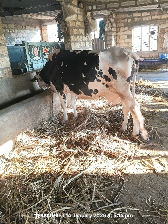 થંબનેલ 3