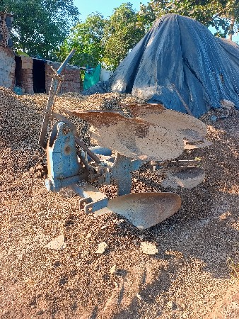 પલ્ટી પ્લાવ