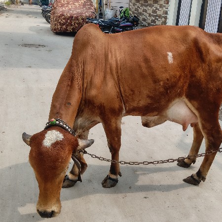 थंबनेल 3