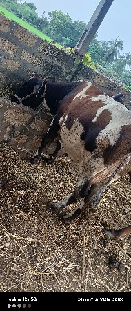 थंबनेल 2