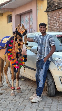 વેચવાની છે સાટા પણ કરવાના છે સભર છે