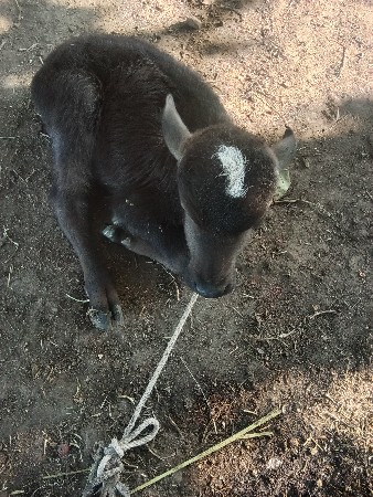 थंबनेल 3