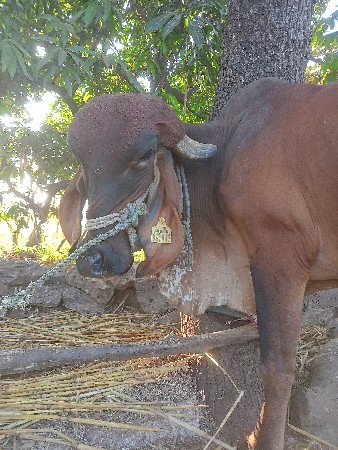 थंबनेल 3