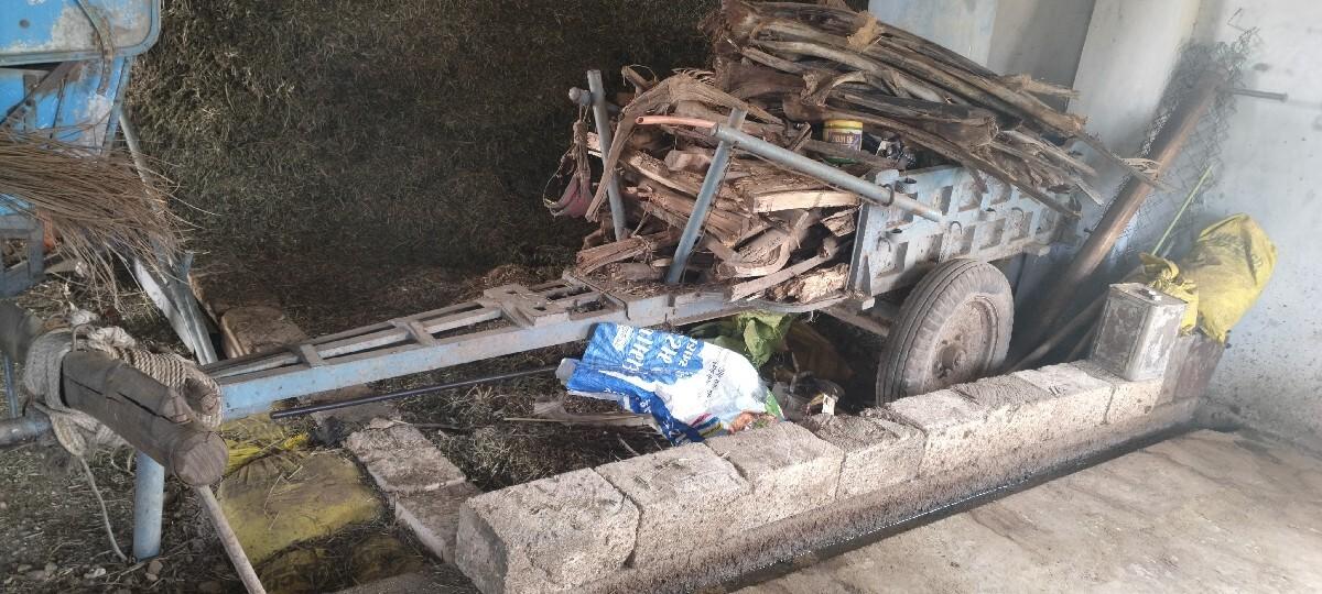 વેશવા નો સે..