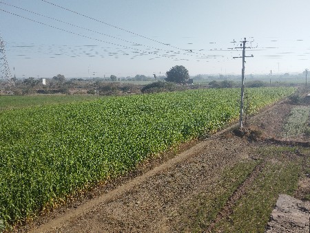 थंबनेल 3