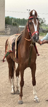 थंबनेल 2