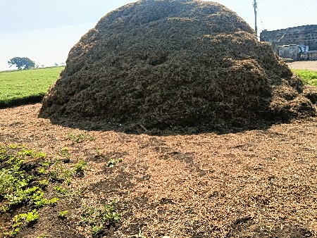 માંડવી નો ભુકો વેચવાનો છે