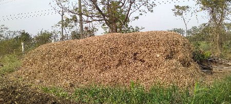 માંડવી નો ભુકો વેચવાનો છે ૯વિધા