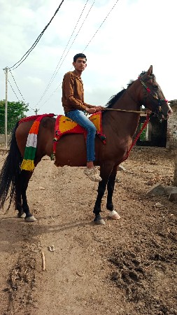 थंबनेल 2