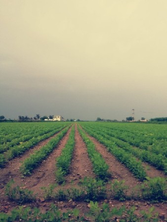 થંબનેલ 2