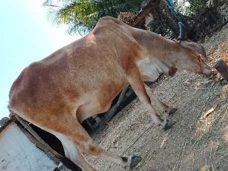 थंबनेल 3