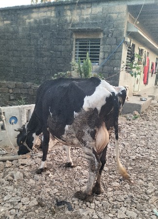 थंबनेल 3