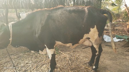 थंबनेल 2