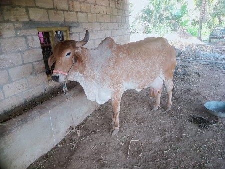 थंबनेल 2