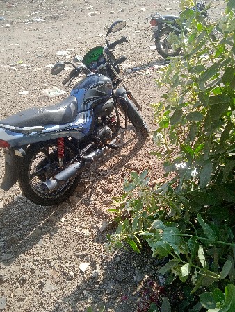 થંબનેલ 3