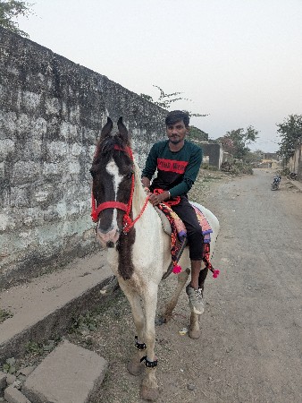 थंबनेल 2