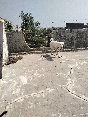 થંબનેલ 3