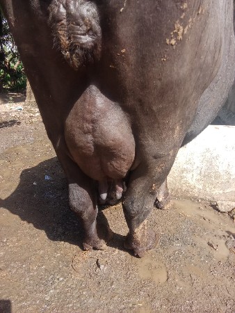 थंबनेल 2