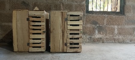 थंबनेल 2