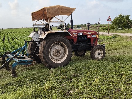 थंबनेल 3