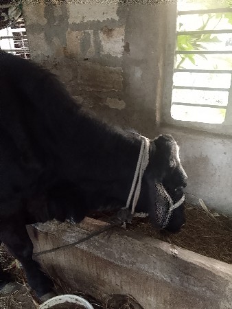 थंबनेल 3