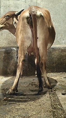 थंबनेल 4