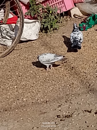 थंबनेल 2