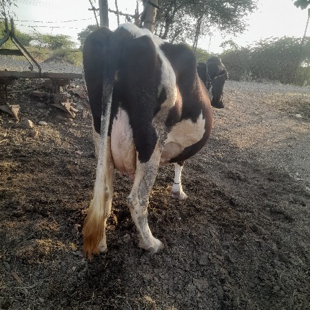 थंबनेल 2