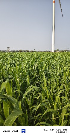 थंबनेल 1