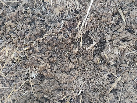 સાણીયુ ખાતર વેચવાનુછે