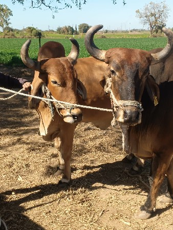 थंबनेल 3