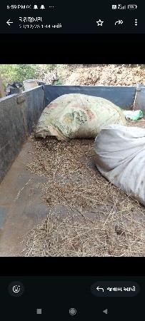 લારી ટુવિલ