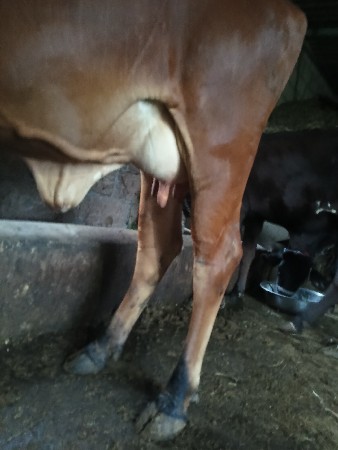 थंबनेल 2