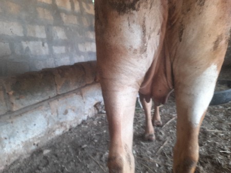 थंबनेल 2