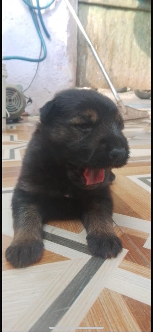 થંબનેલ 3