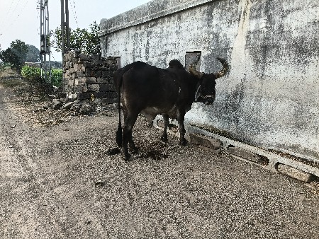 थंबनेल 2